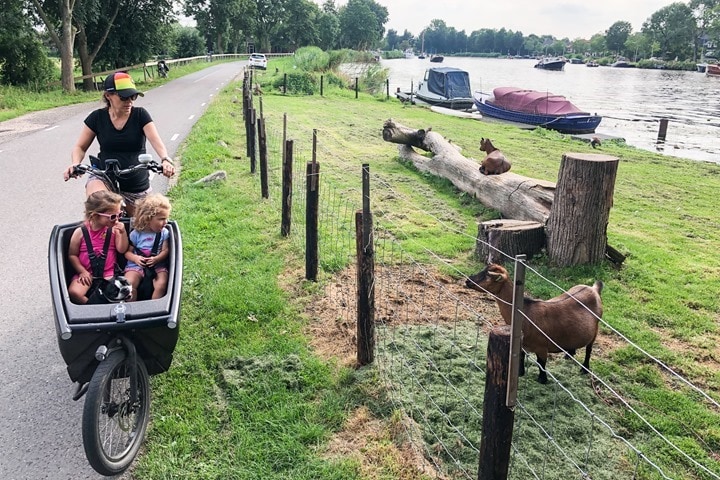 2019-08-04 17.35.10 HDR 2019-08-04 17.35.10 HDR